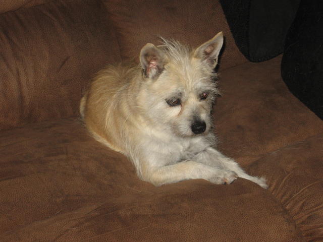 Osita 006