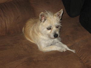 Osita 006