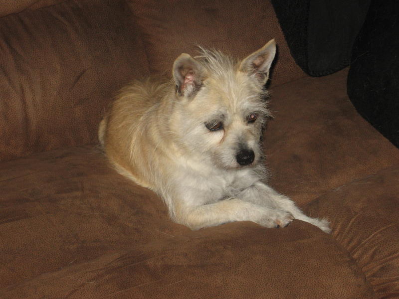 Osita 006