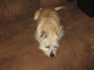 Osita 008