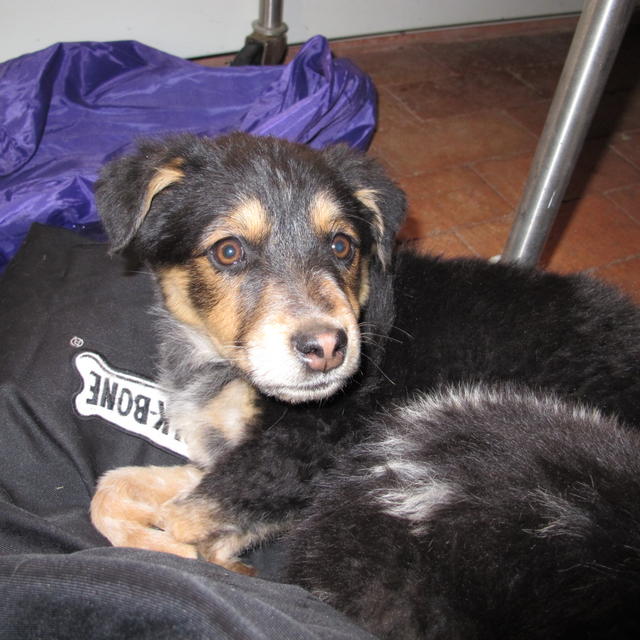 DaisyIMG_0036