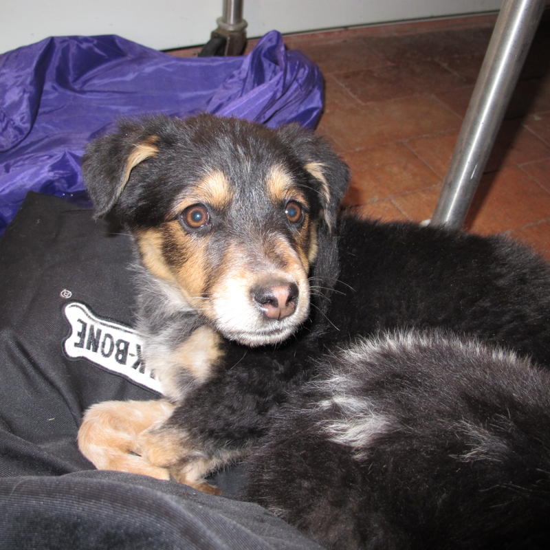 DaisyIMG_0036