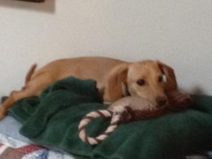 RustyIMG_0175