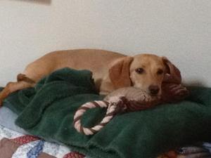 RustyIMG_0176