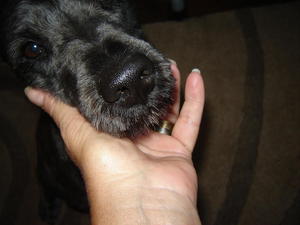 rory017