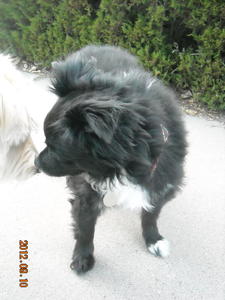 TobyDSCN1026